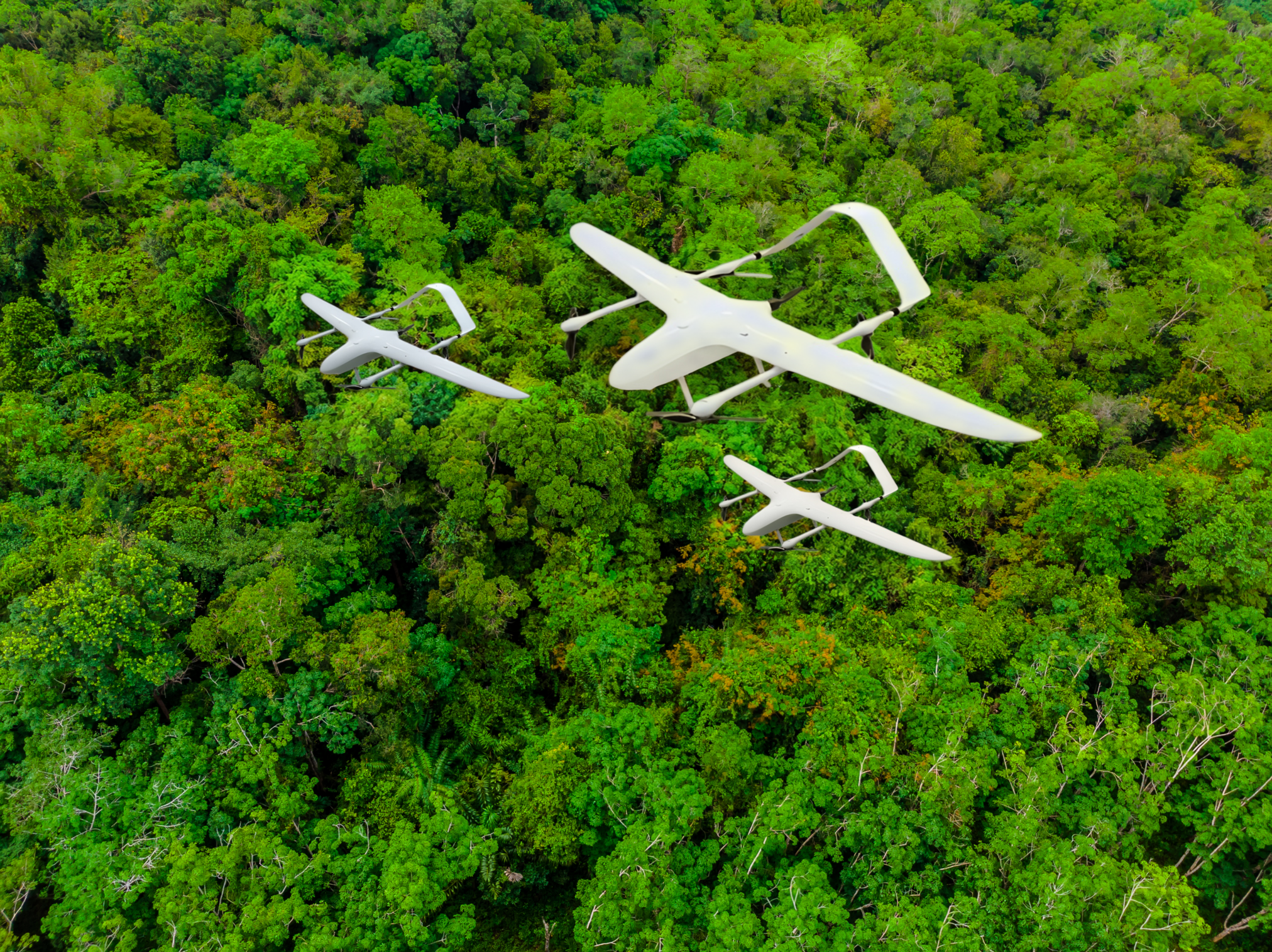 UAV ĐÁNH GIÁ TÍN CHỈ CARBON